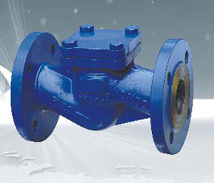 德标止回阀过滤器